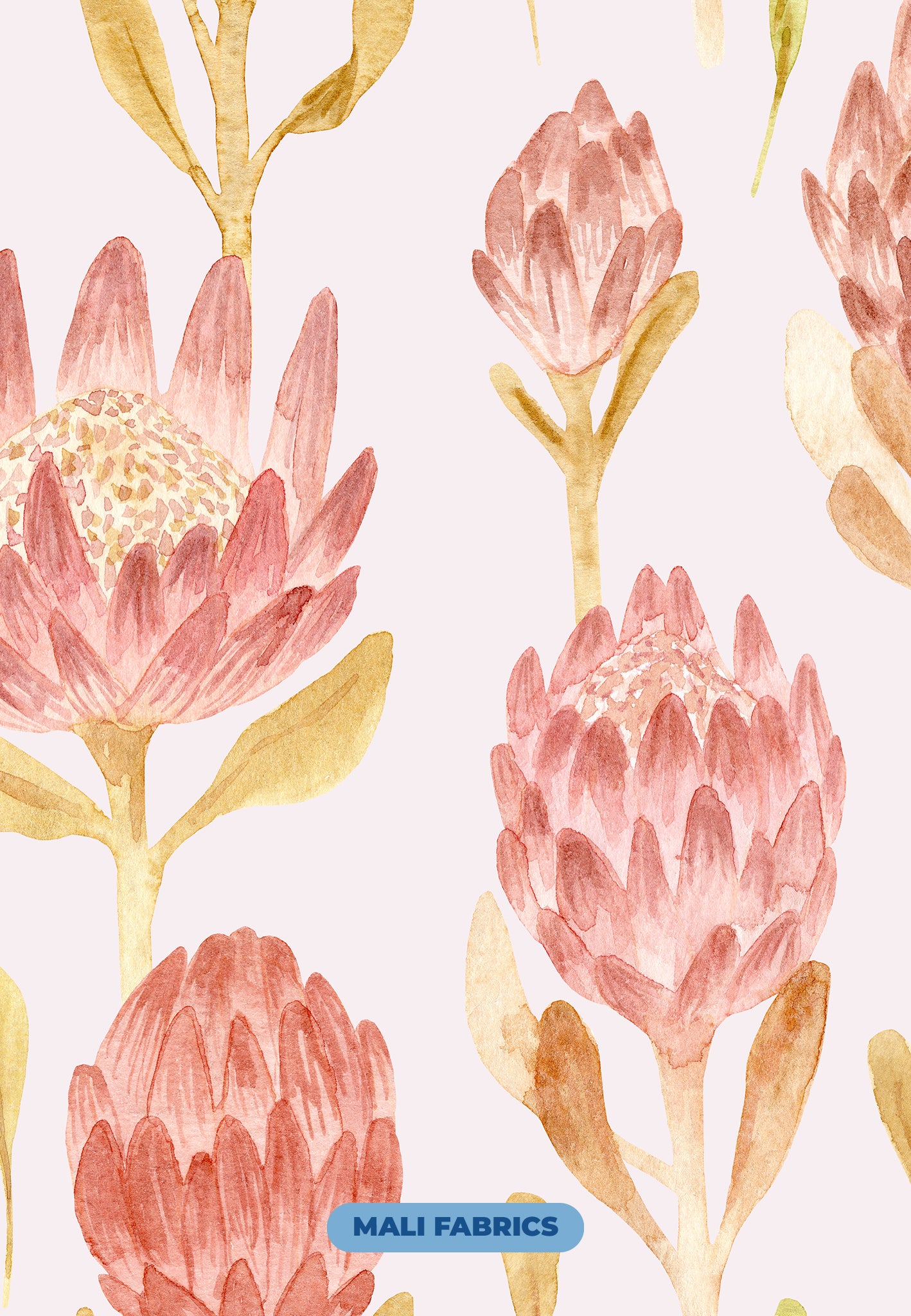 PADRÃO FLORES PROTEA M63